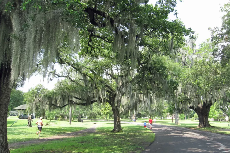 Audubon Park, New Orleans